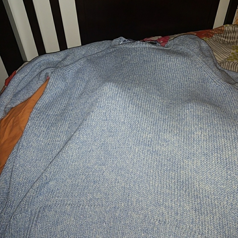 Lane Bryant Sparkley Sweater